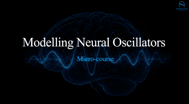Neural Oscillators